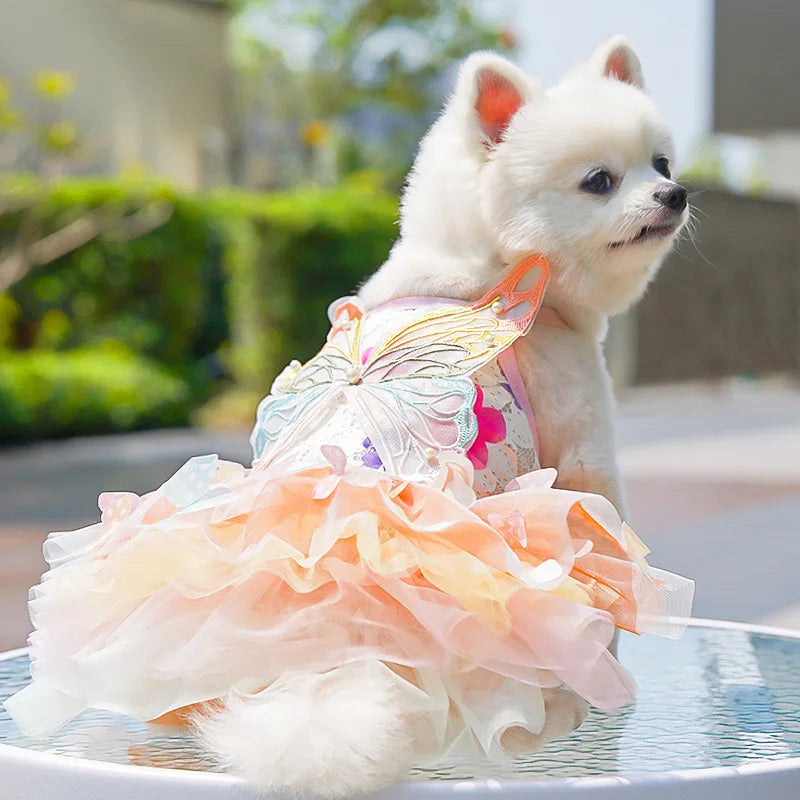 Pet clothes, summer items, thin summer dress for dogs, cat princess dress, butterfly poof dress, pet clothing, cat clothing, dre