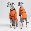 Pet Dog Summer Clothing Short-Sleeved T-Shirt Prison Style Same As Prison Uniform Unique And Funny Outfit Pet Funny Clothing