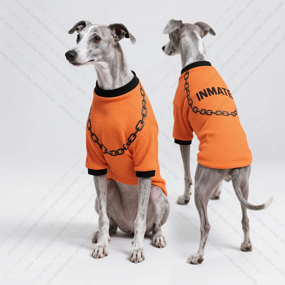 Pet Dog Summer Clothing Short-Sleeved T-Shirt Prison Style Same As Prison Uniform Unique And Funny Outfit Pet Funny Clothing