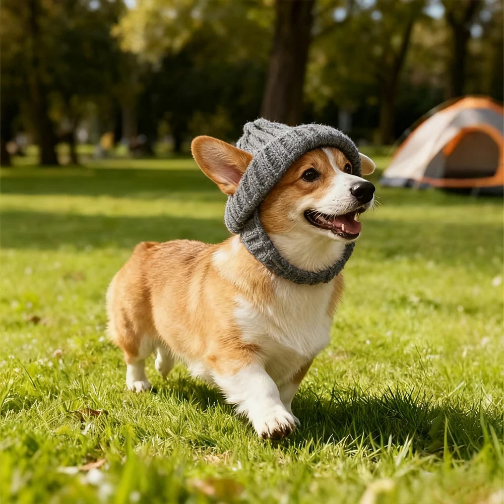 1 PC Warm Winter/Autumn Knitted Hat for Maltese Dogs Cute Hat To Keep Their Ears Warm Indoors  Outdoors for Pet Small Dogs Cats