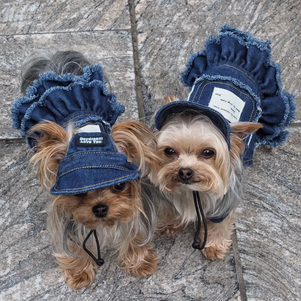 Summer Dog Clothes Denim Jeans with Hat Dog Dress INS Style Small Girl Dog Clothing Couple Pet Outfit Puppy Costume Overalls