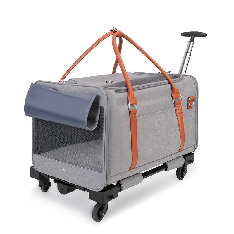 Troller Dogs Products – PET PARADISE