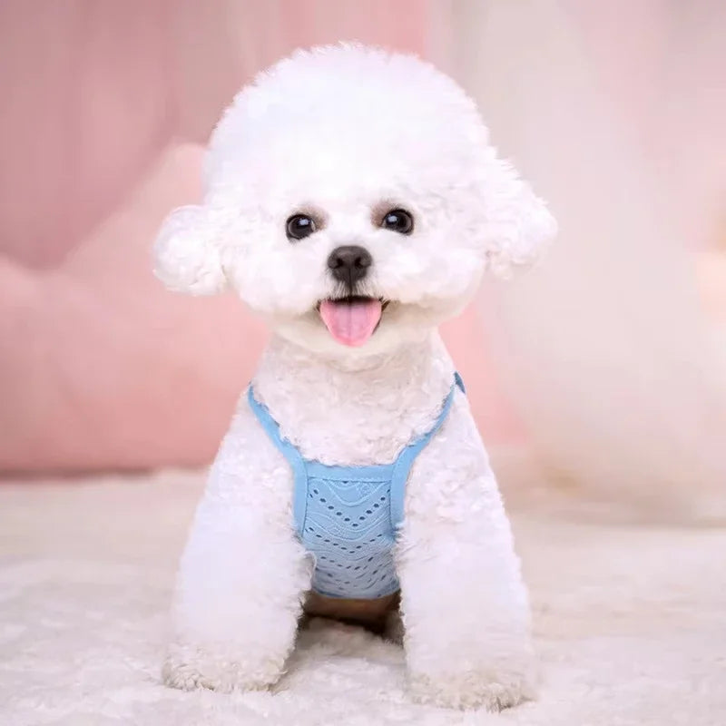 Summer Dog Clothes for Small Dogs Thin Cute Dog Vest Puppy Clothes Breathable Chihuahua Clothes Cat Vest Pet Supplies