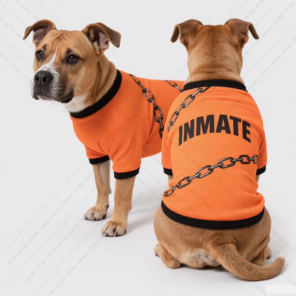 Pet Dog Summer Clothing Short-Sleeved T-Shirt Prison Style Same As Prison Uniform Unique And Funny Outfit Pet Funny Clothing