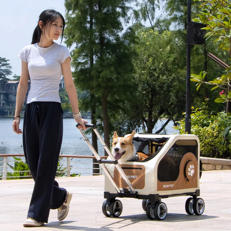 Portable Pet Carrier Rolling Suitcase — Foldable Travel Crate for Dogs & Cats